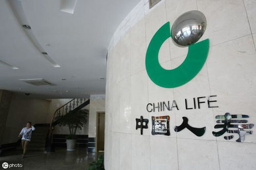 中國(guó)人壽保險(xiǎn).集團(tuán)上線轉(zhuǎn)拍網(wǎng)